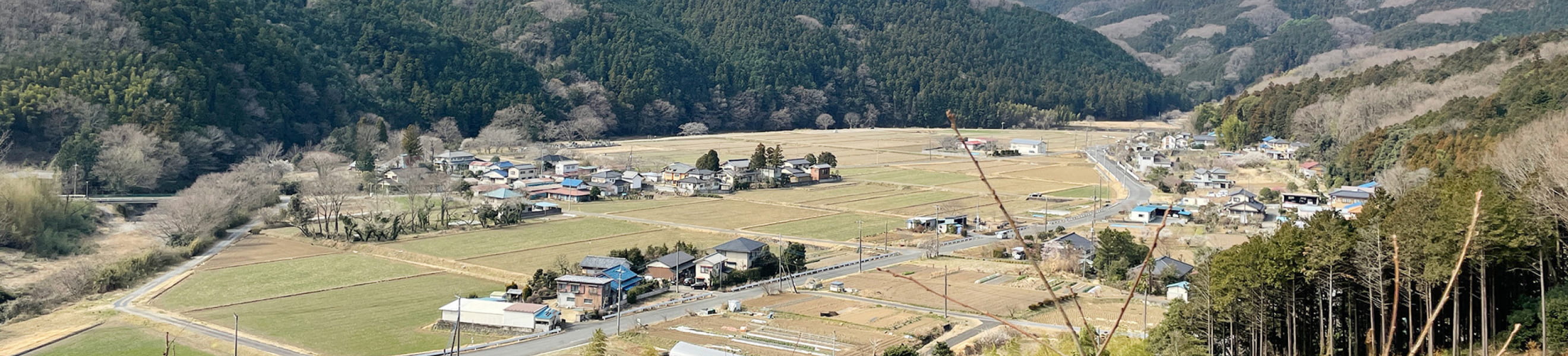 丘から見た街の様子